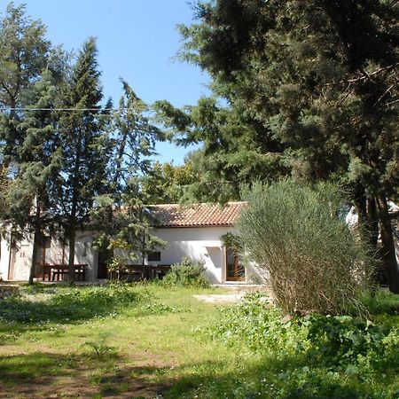 B&B Parco Del Lamione Джоя дел Коле Екстериор снимка