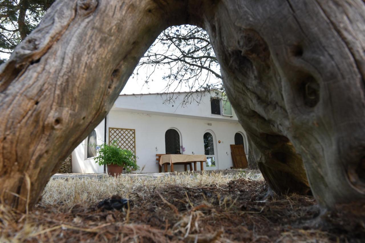 B&B Parco Del Lamione Джоя дел Коле Екстериор снимка
